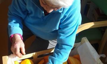 Semaine du goût courges