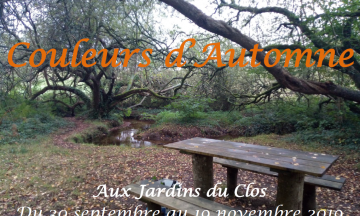 Couleurs d'automne