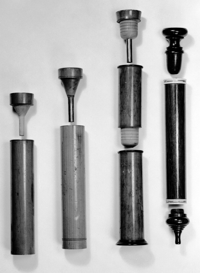 évolution